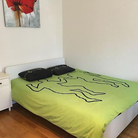 Appartement A 7 Minutes De La Gare De ローザンヌ エクステリア 写真